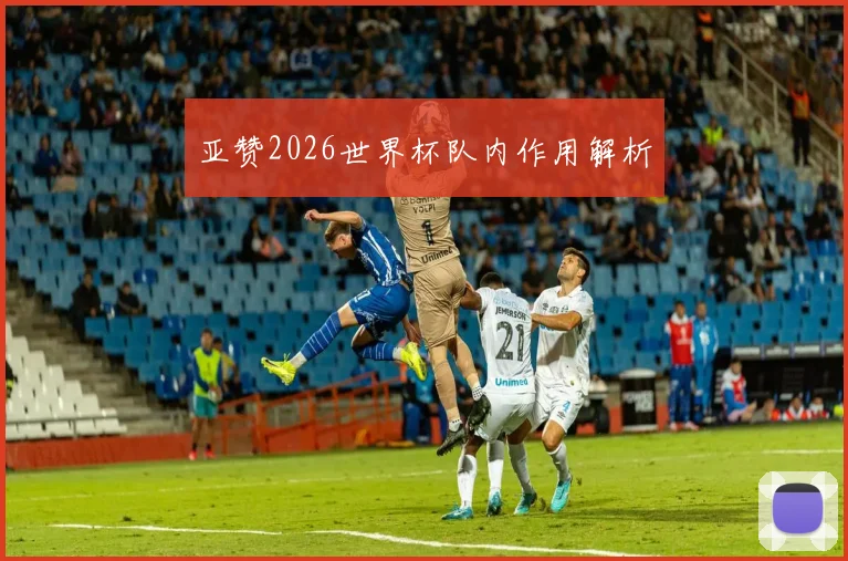 亚赞2026世界杯队内作用解析