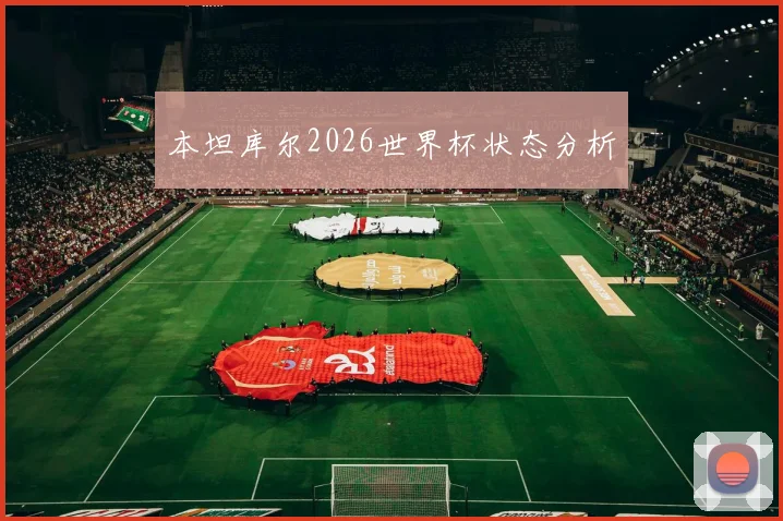 本坦库尔2026世界杯状态分析 — 详细说明