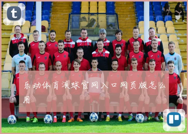 乐动体育滚球官网入口网页版怎么用