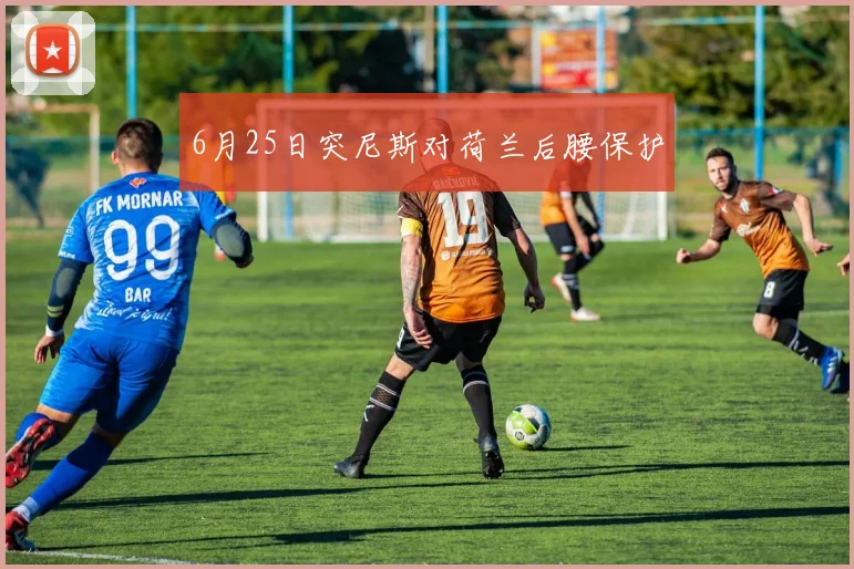 6月25日突尼斯对荷兰后腰保护