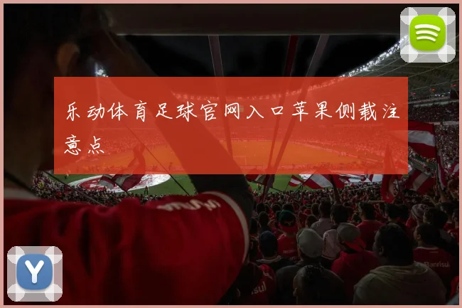 乐动体育足球官网入口苹果侧载注意点