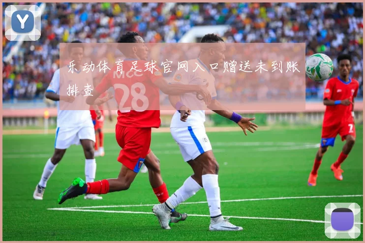 乐动体育足球官网入口赠送未到账排查