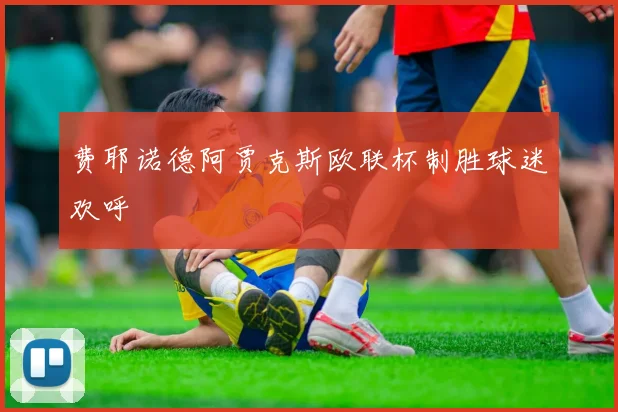 费耶诺德阿贾克斯欧联杯制胜球迷欢呼