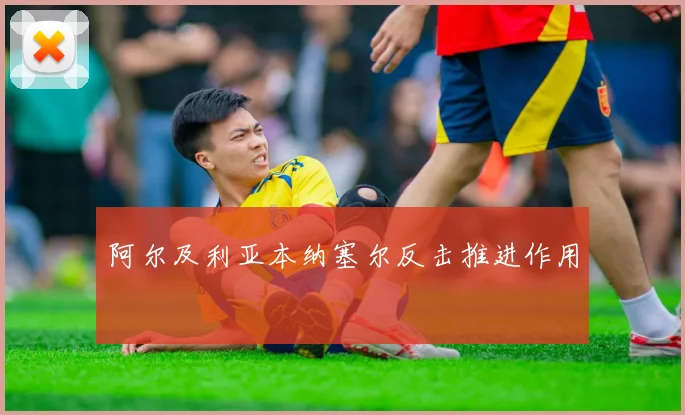 阿尔及利亚本纳塞尔反击推进作用
