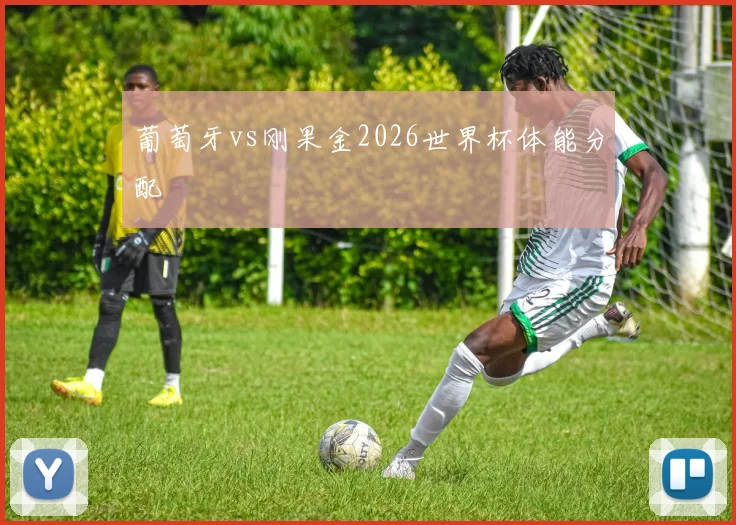 葡萄牙vs刚果金2026世界杯体能分配